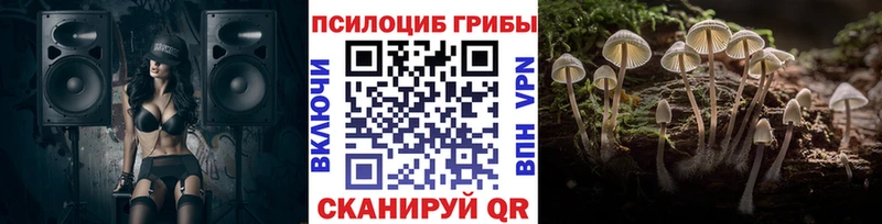 МЕГА ссылка Шелехов Псилоцибиновые грибы Magic Shrooms наркота